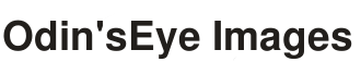 Odin's Eye Image Hosting